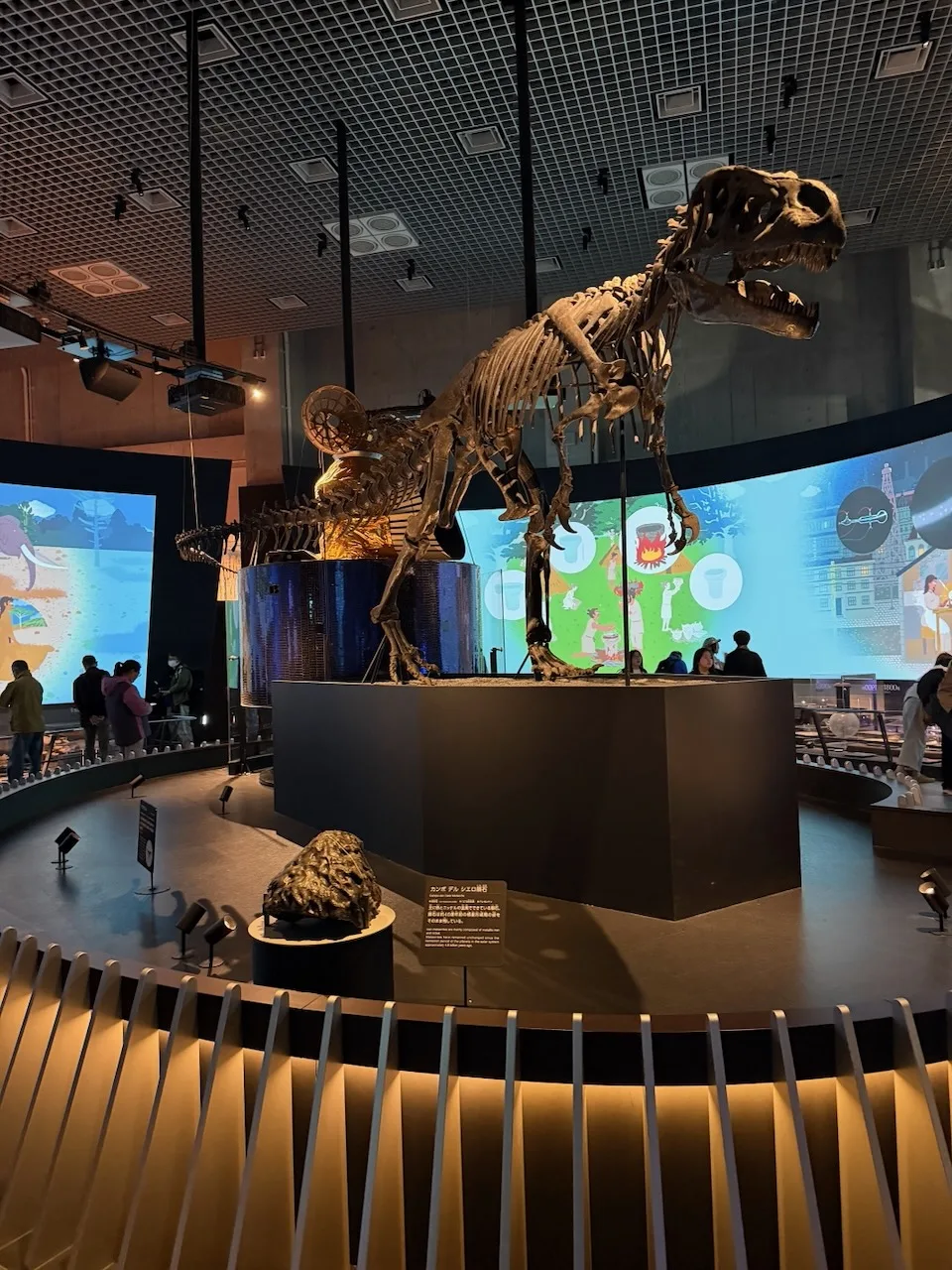 Tyrannosaurus skeleton in a dark hall at the National Museum of Nature and Science, Ueno