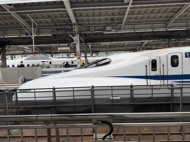 Shinkansen bullet train at platform, our photo